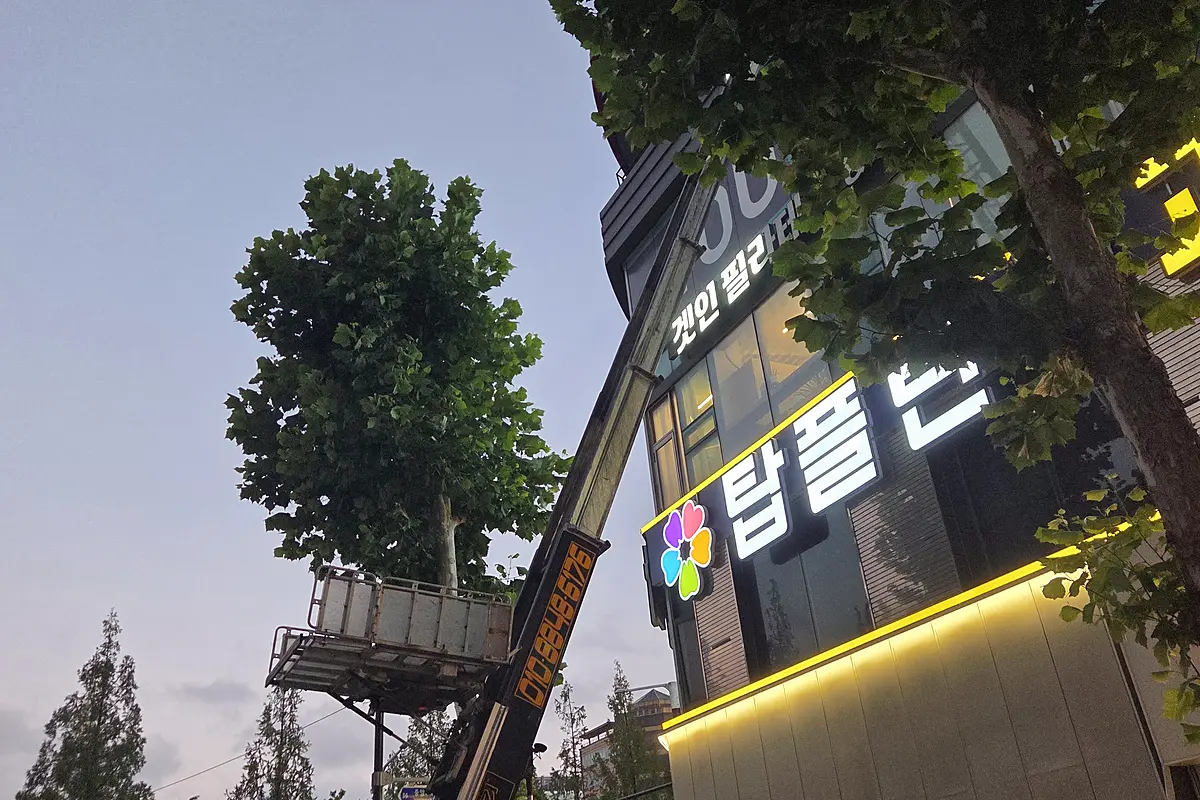 미추홀구 단독주택 악취탈취 전문업체 현장 사진 1