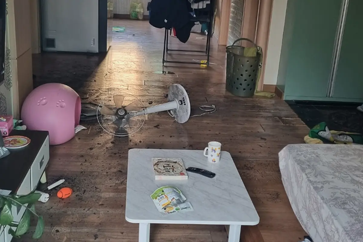 은평구 사고현장청소 전문 현장 사진 2