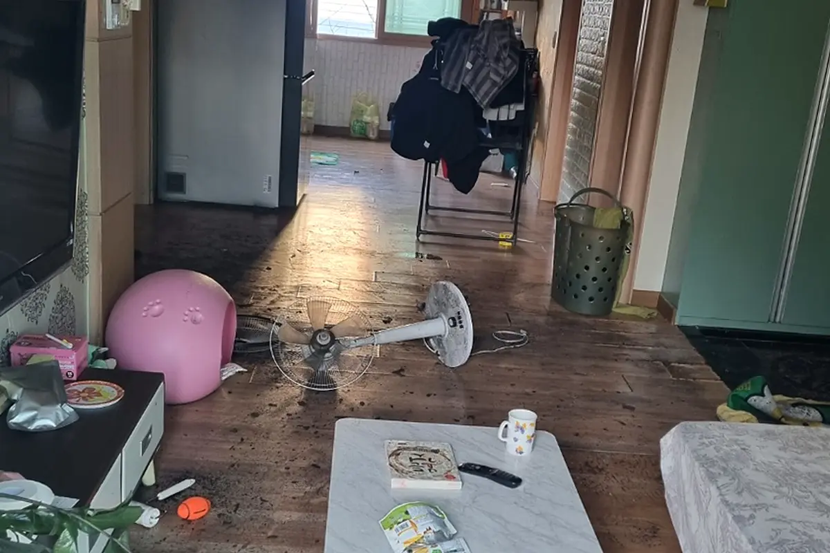 은평구 사고현장청소 전문 현장 사진 4